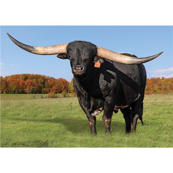 JH LIGHTNING IN A BOTTLE