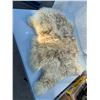 Image 1 : Pure  new wool, sheepskin rug