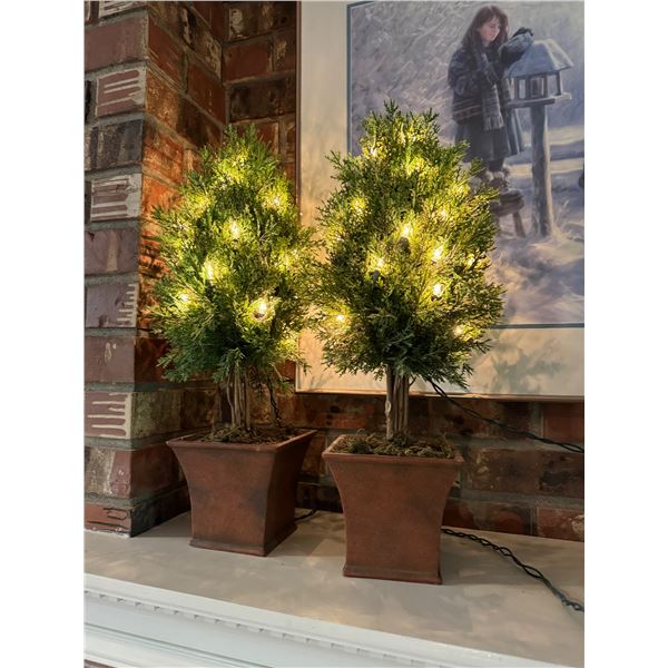 Light up trees