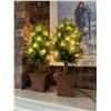 Image 1 : Light up trees