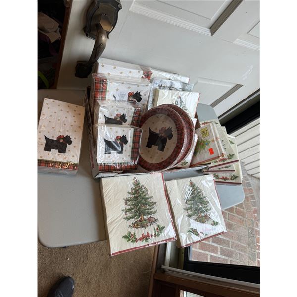Napkins and disposable plates