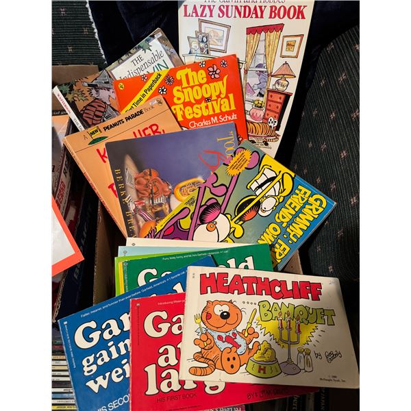 Calvin and Hobbs Garfield Heathcliff snoopy books
