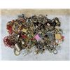 Image 1 : Collection of Costume Jewelry