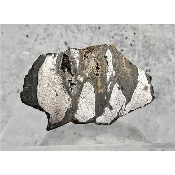 Galena Encased in Anglesite Darwin Mine Specimen