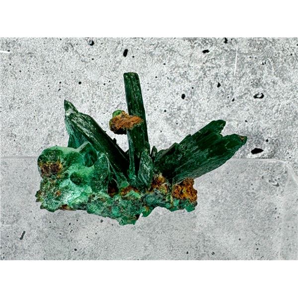 Malachite Crystals Butte Montana Specimen