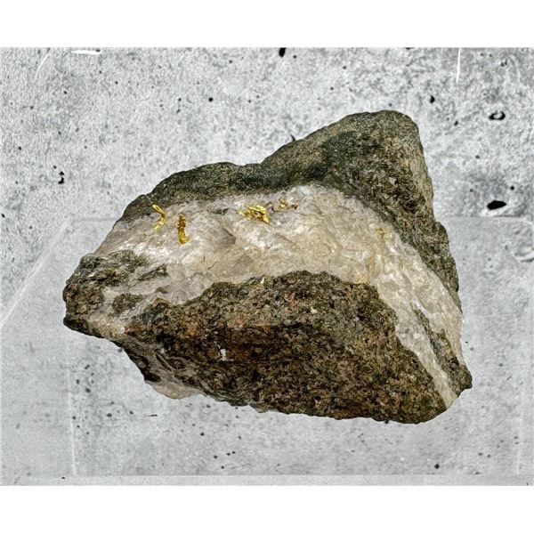 Wire Gold on Quartz Virginia City Montana Specimen