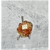 Image 2 : Native Gold in Quartz Montana Specimen