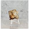 Image 1 : Native Gold in Quartz Montana Specimen