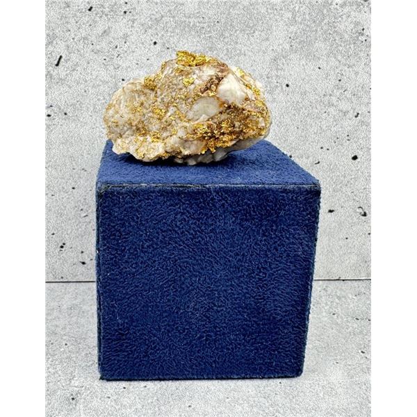 Incredible Gold in Quartz Montana Specimen