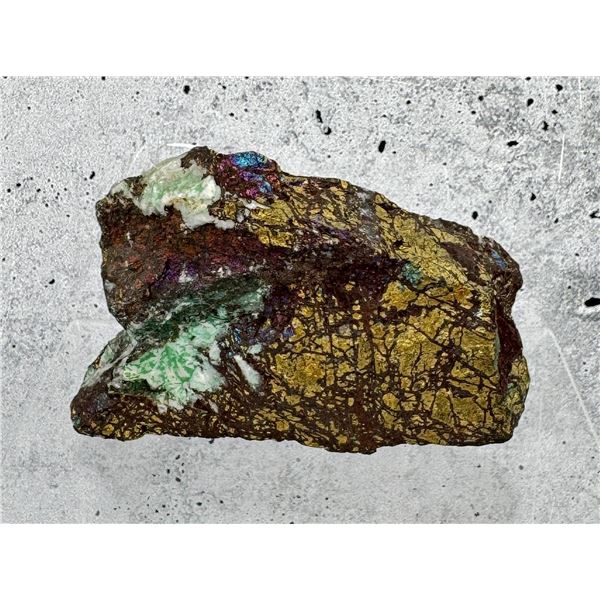 Covellite on Pyrite Butte Montana Specimen