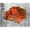Image 2 : Crocoite Cluster Tasmania Australia Specimen