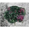 Image 2 : Ruby Zoisite Specimen