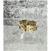 Image 2 : Native Gold in Quartz Montana Specimen