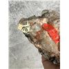 Image 5 : Silver on Bornite Butte Montana Specimen