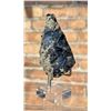 Image 1 : Golden Covellite Steward Mine Butte Specimen