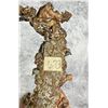 Image 3 : Native Copper Michigan Specimen