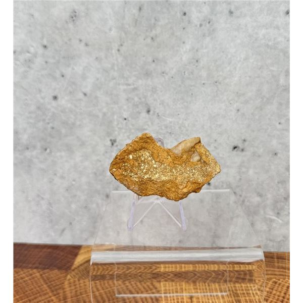 Native Gold in Quartz Montana Specimen
