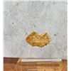 Image 1 : Native Gold in Quartz Montana Specimen