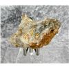 Image 3 : Native Gold Wire in Quartz Montana Specimen