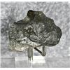 Image 1 : Native Silver Butte Montana Specimen