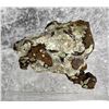 Image 1 : Copper on Silver Keweenaw Michigan Specimen