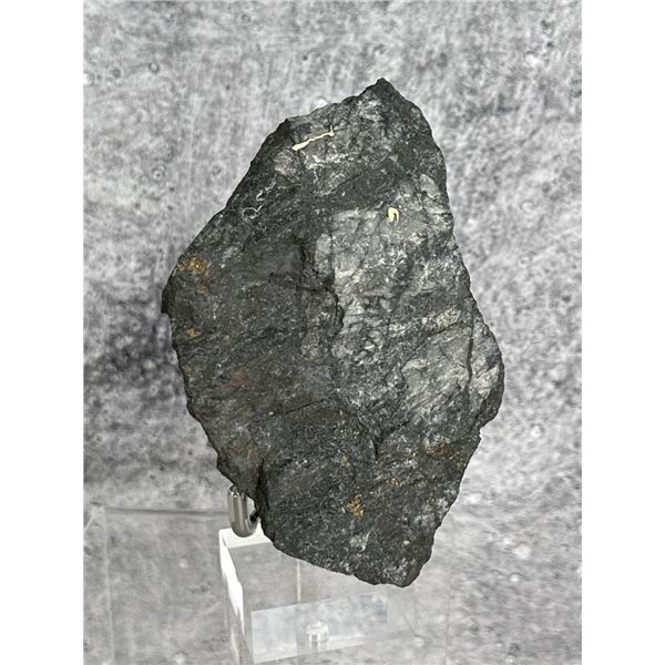 Free Gold in Petzite Montana Specimen