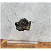 Image 2 : Galena on Matrix Butte Montana Specimen