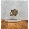 Image 2 : Gold in Roasted Sylvanite Colorado Specimen