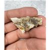 Image 1 : Native Gold in Quartz Montana Specimen