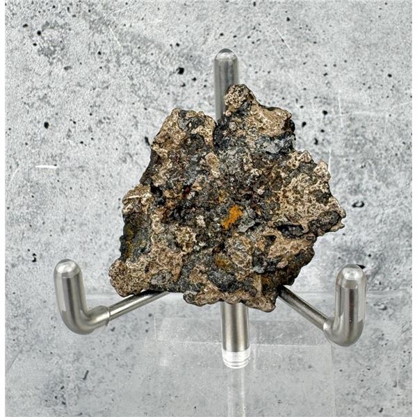 Native Silver Ontario Canada Specimen
