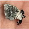 Image 2 : Native Silver Crystal Butte Montana Specimen