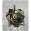 Image 2 : Pyrite on Sphalerite Butte Montana Specimen