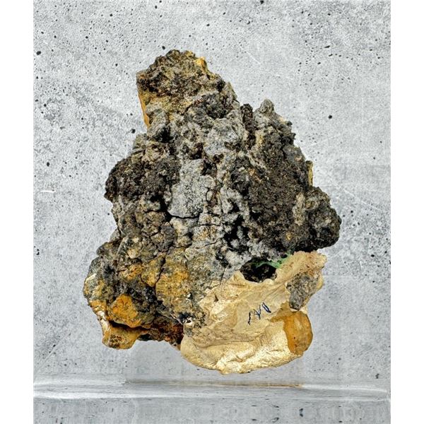 Gold Ore Charles Watson Mine Specimen