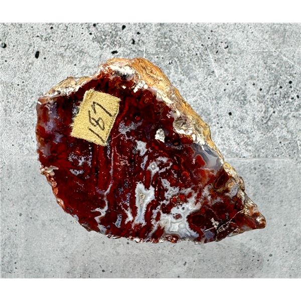 Montana Picture Agate Specimen
