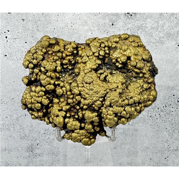 Botryoidal Chalcopyrite Butte Montana Specimen