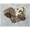 Image 2 : Native Copper on Calcite Michigan Specimen