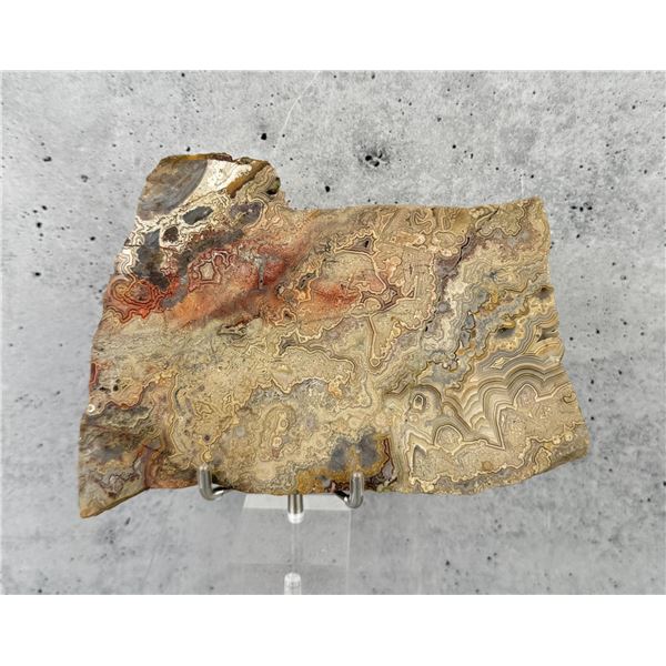 Crazy Lace Agate Slab Specimen