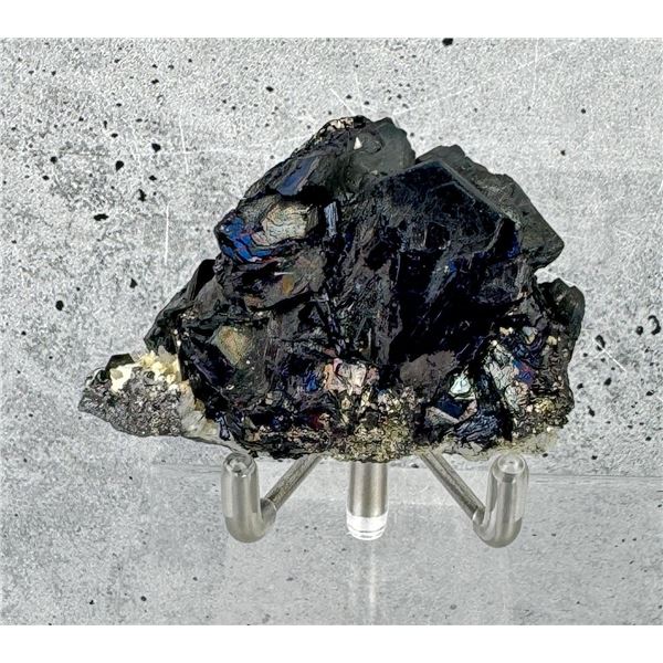 Stunning Covellite Butte Montana Specimen