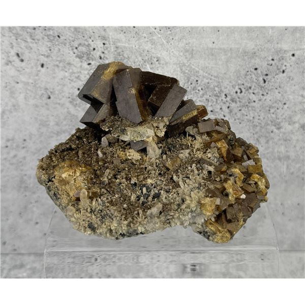 Baryte Barite Steward Mine Butte Montana Specimen