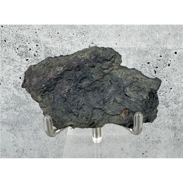 Covellite Butte Montana Specimen
