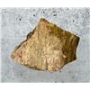 Image 2 : Agatized Fossilized Wood Specimen