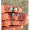Image 3 : Collection of Australian Black Opal Cabochons
