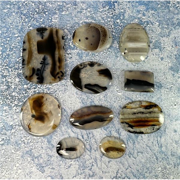 385 Carats of Montana Agate Cabochon Gemstones