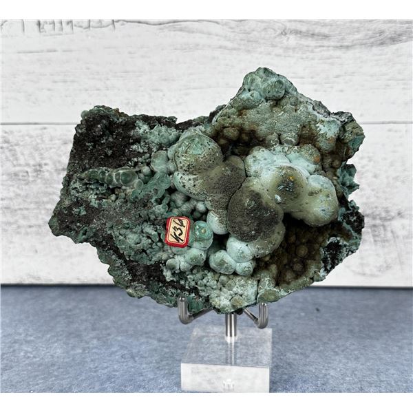 Botryoidal Malachite Bisbee Arizona Specimen