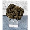 Image 1 : Iron Pyrite Capped Quartz Crystal Specimen