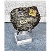 Image 2 : Iron Pyrite Capped Quartz Crystal Specimen