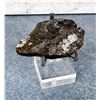 Image 1 : Iridium Nickel Iron Meteorite