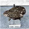 Image 2 : Iridium Nickel Iron Meteorite