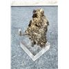 Image 1 : ProvenanNative Silver Wire Butte Montana Specimen