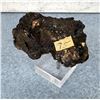 Image 2 : Golden Covellite Steward Mine Butte Specimen